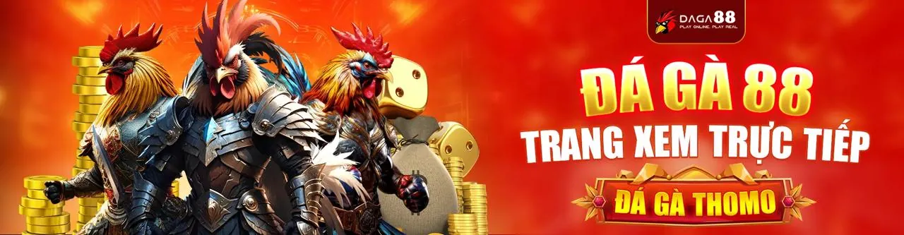 Đá gà 1bet 2026 - Sân đấu kịch tính